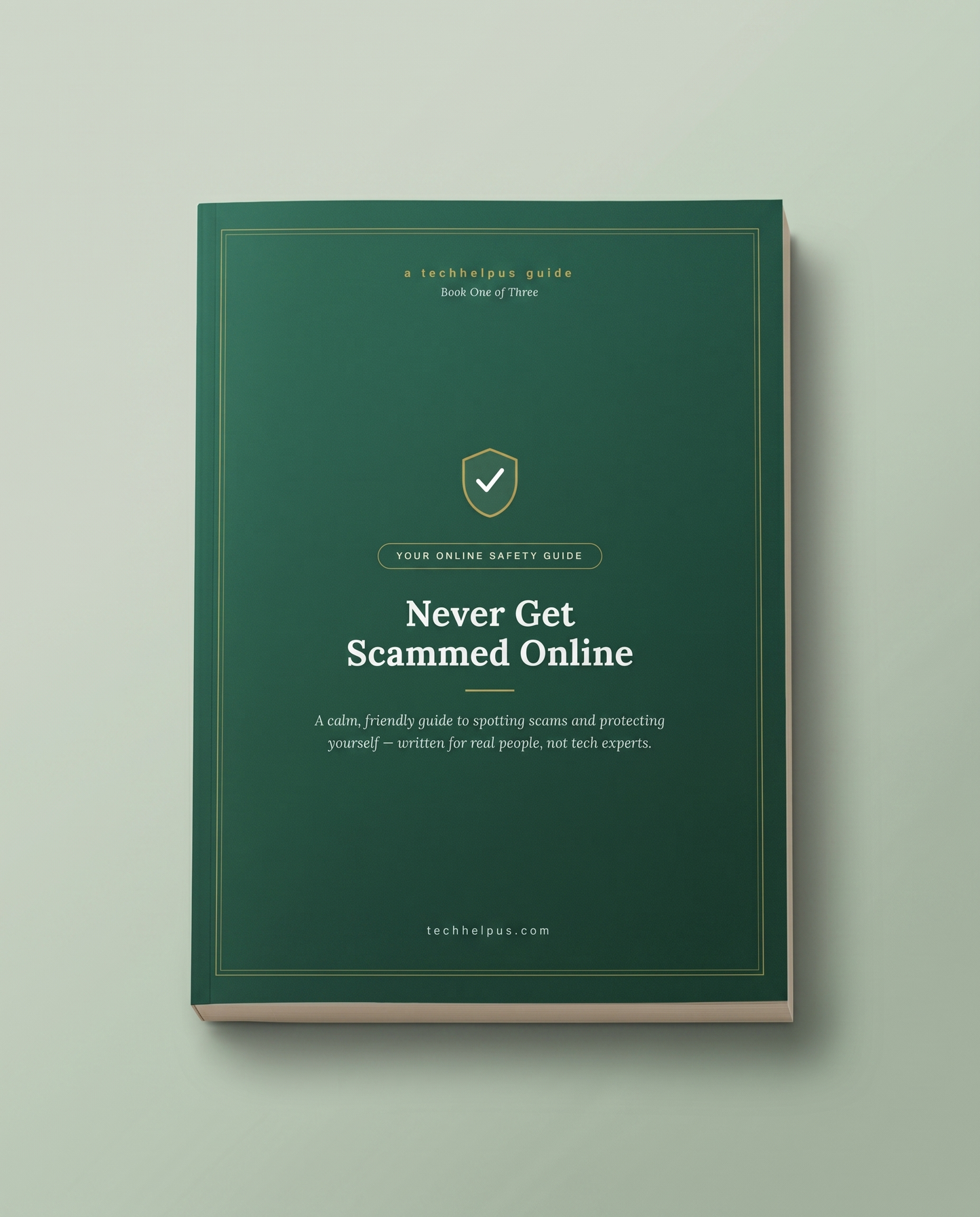 Never Get Scammed Online